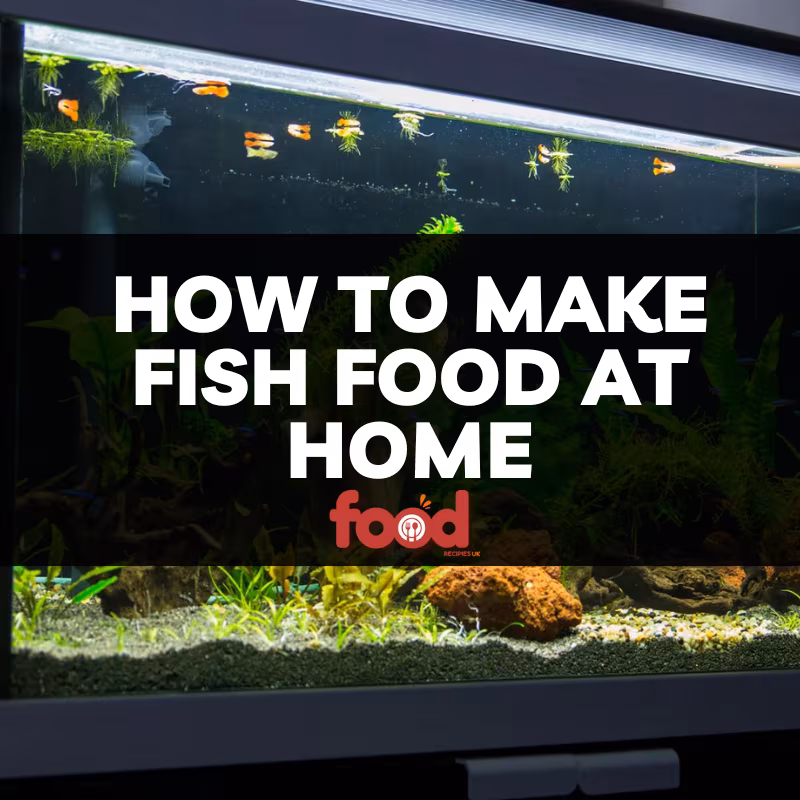 How to make fish food at home (2)