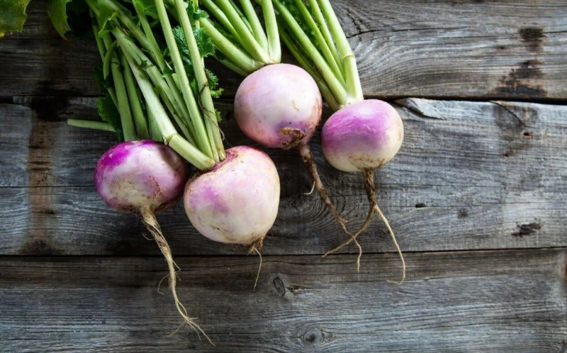Turnip