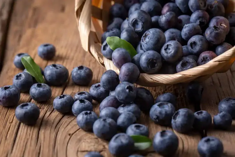 Picking the Best Blueberries