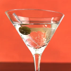 Best Gin Martini Recipe