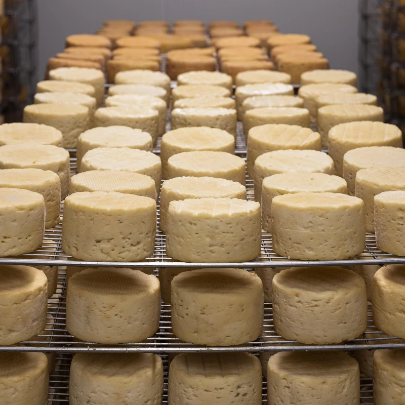 Grouse Cheese Recipe Crafting Traditional Highland Flavors